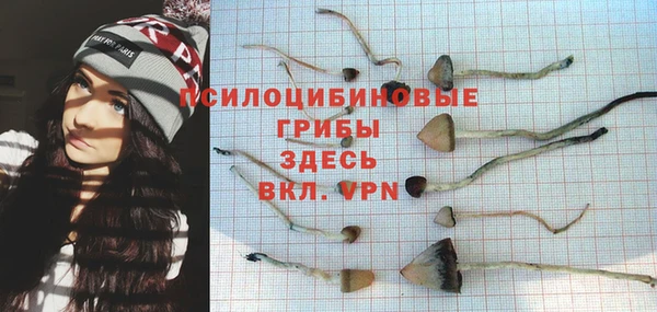 первитин Алексеевка
