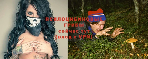 ГАЛЛЮЦИНОГЕННЫЕ ГРИБЫ Алексин