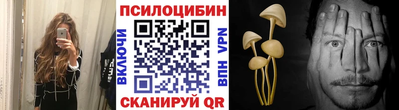 Псилоцибиновые грибы Cubensis наркотики Сосновый Бор
