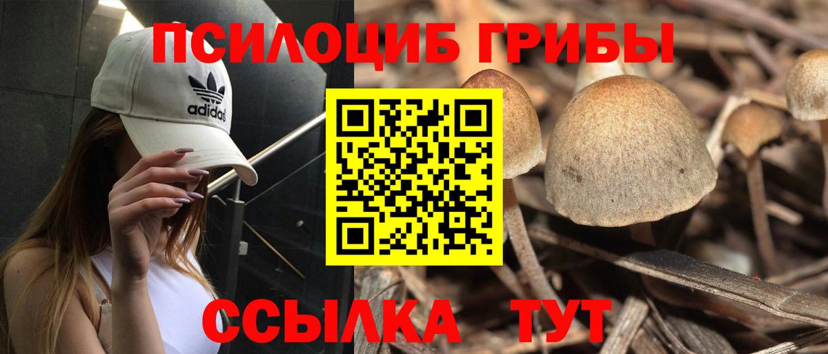 Галлюциногенные грибы Magic Shrooms  Вход с VPN  Галлюциногенные грибы Psilocybe  Сосновый Бор 