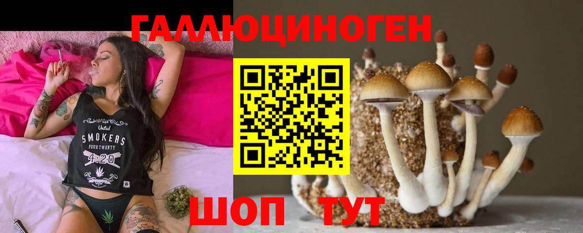 Псилоцибиновые грибы мухоморы Сосновый Бор