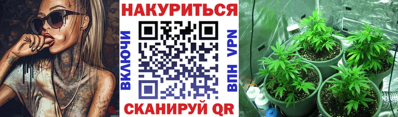 продажа наркотиков  Сосновый Бор  Конопля LSD WEED 
